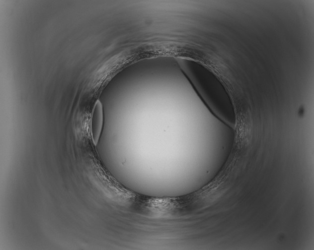 X0000116580141200912101549