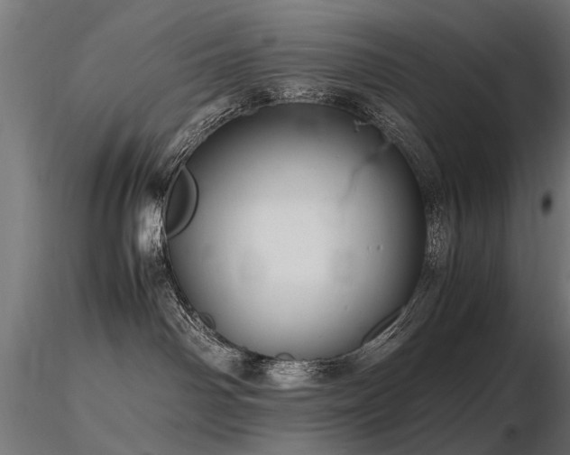 X0000116580142200912101549