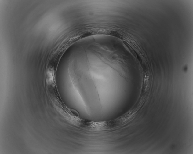 X0000116580143200912101549