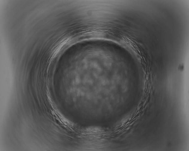 X0000116580145200912101548