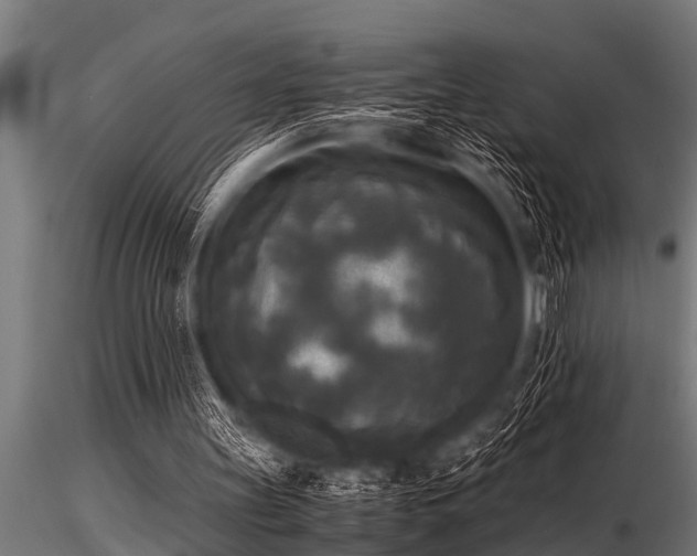 X0000116580147200912101548