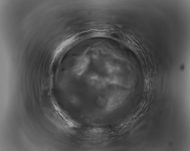 X0000116580149200912101548