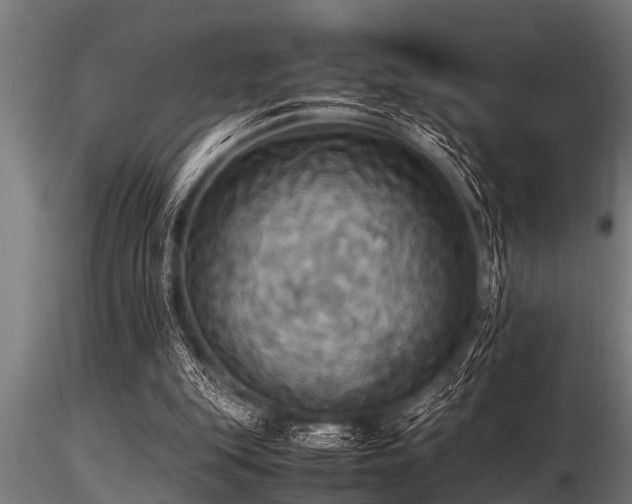 X0000116580151200912101548