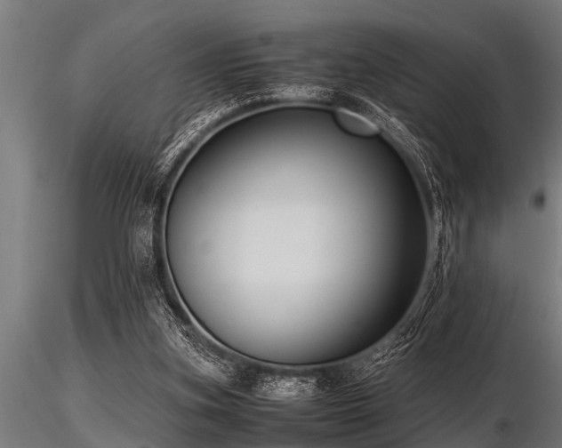 X0000116580155200912101548