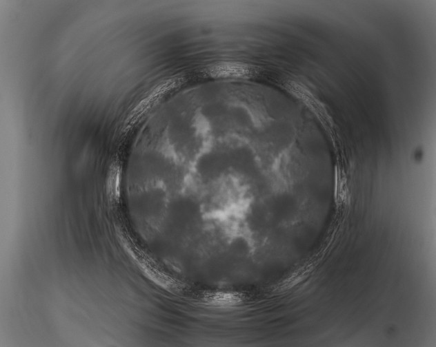 X0000116580157200912101548