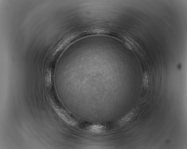 X0000116580158200912101548