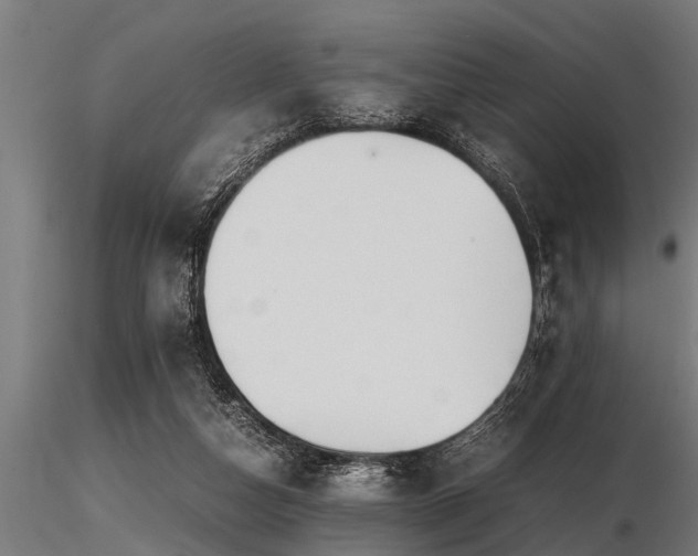 X0000116580162200912101548