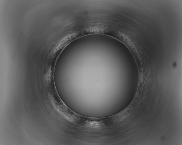 X0000116580163200912101548