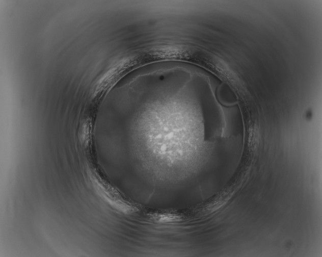 X0000116580165200912101548