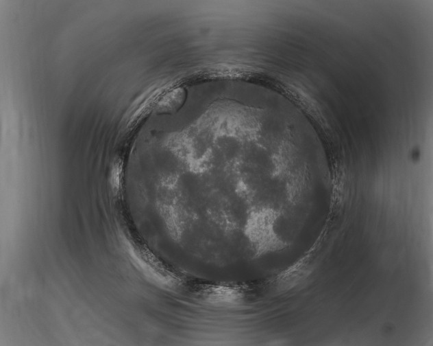 X0000116580166200912101548