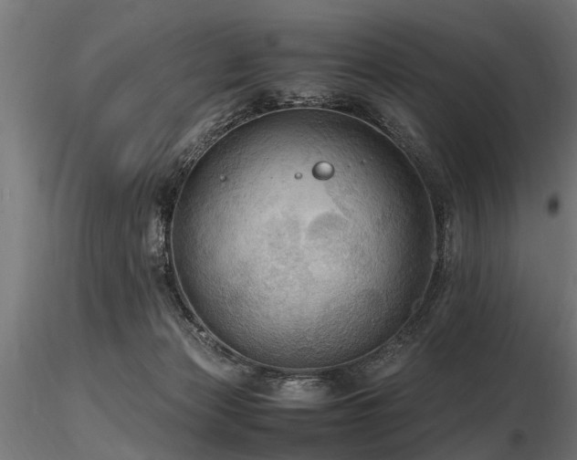 X0000116580173200912101548