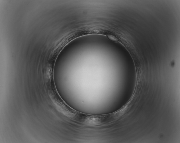 X0000116580174200912101548