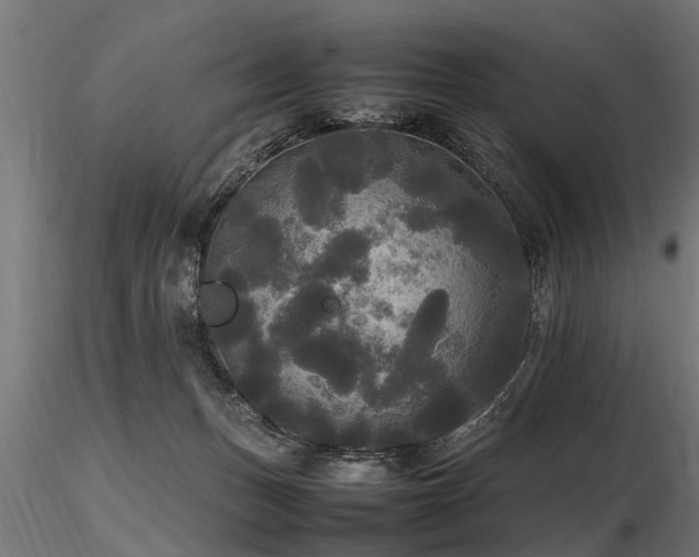 X0000116580175200912101548