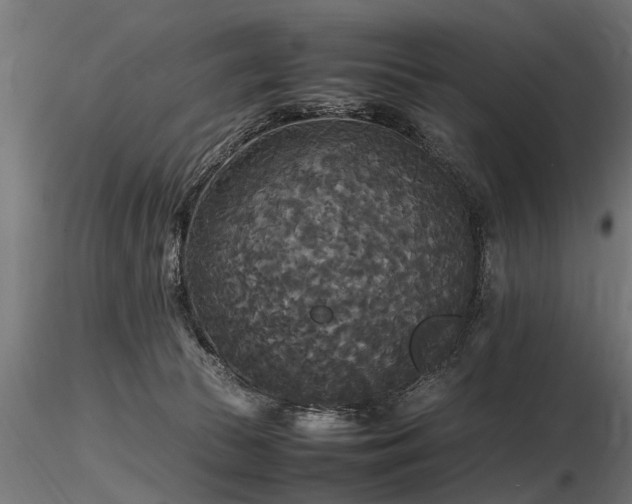 X0000116580177200912101548