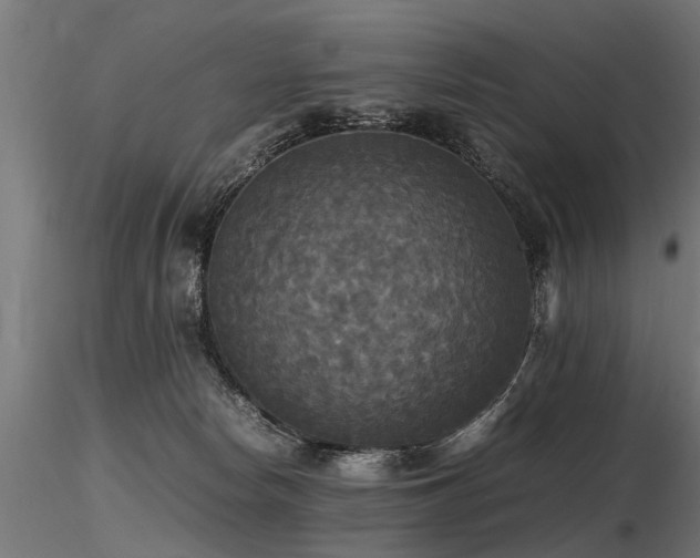 X0000116580178200912101548