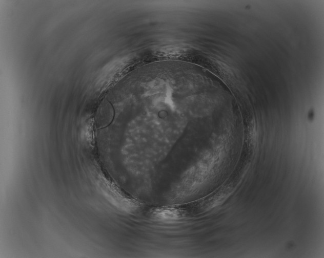 X0000116580181200912101548