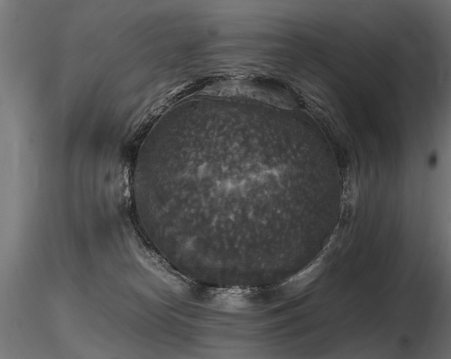 X0000116580182200912101548