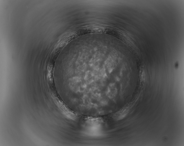 X0000116580185200912101548