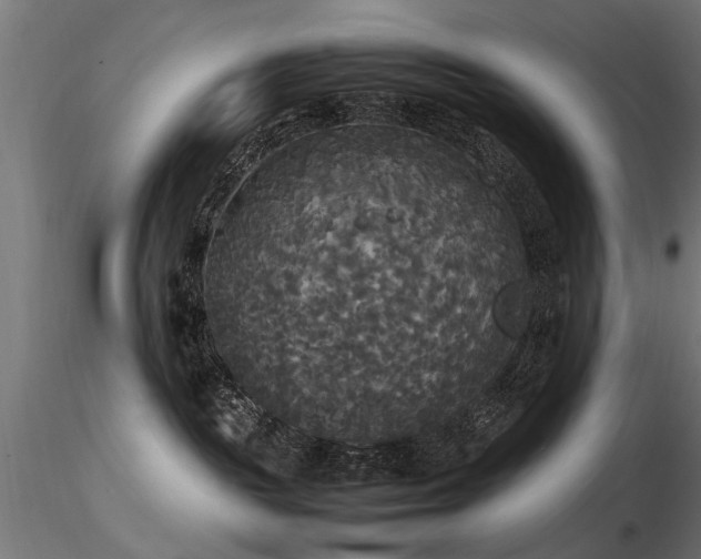 X0000116580189200912101549