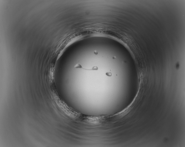 X0000116580190200912101549