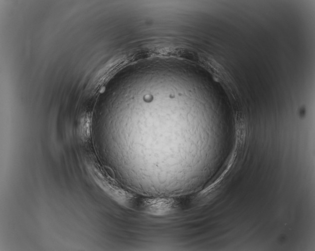 X0000116580191200912101549