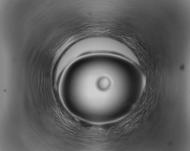 X0000116580195200912101548