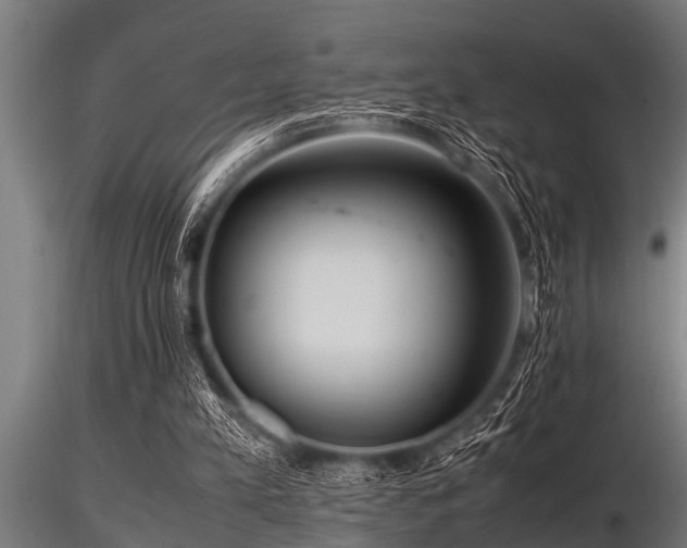 X0000116580197200912101548