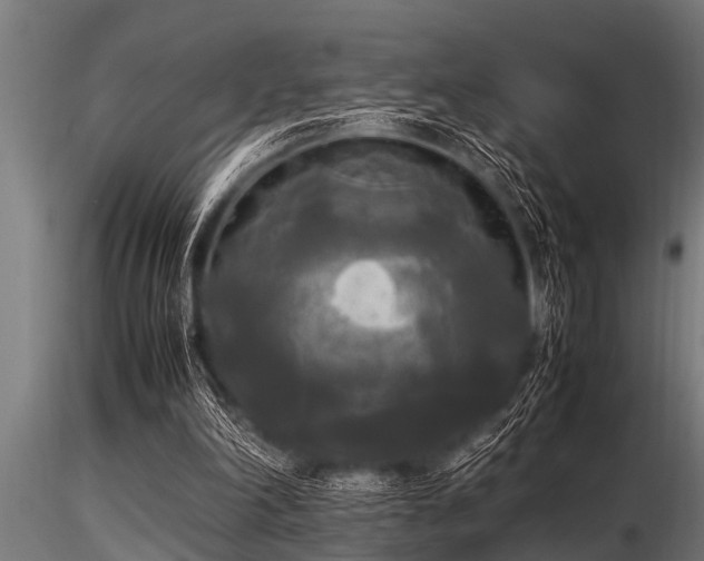 X0000116580198200912101548