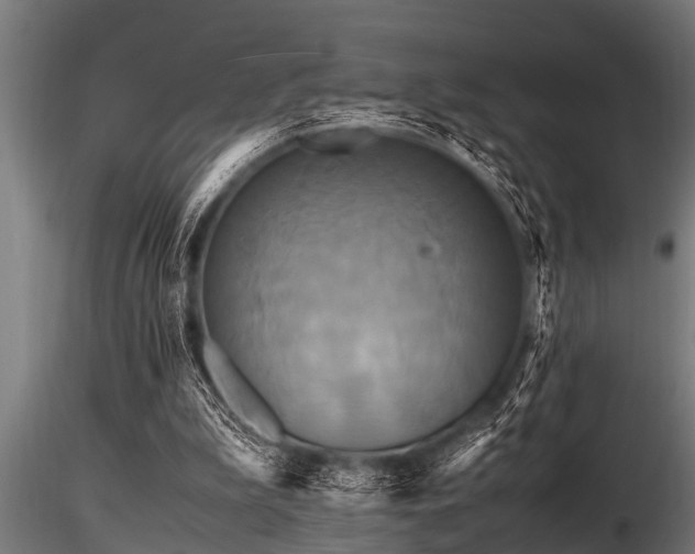 X0000116580199200912101548