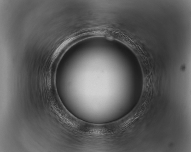 X0000116580200200912101548