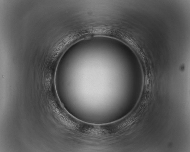 X0000116580201200912101548