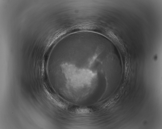 X0000116580202200912101548