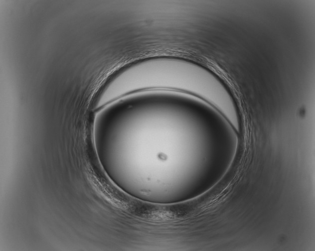 X0000116580203200912101548