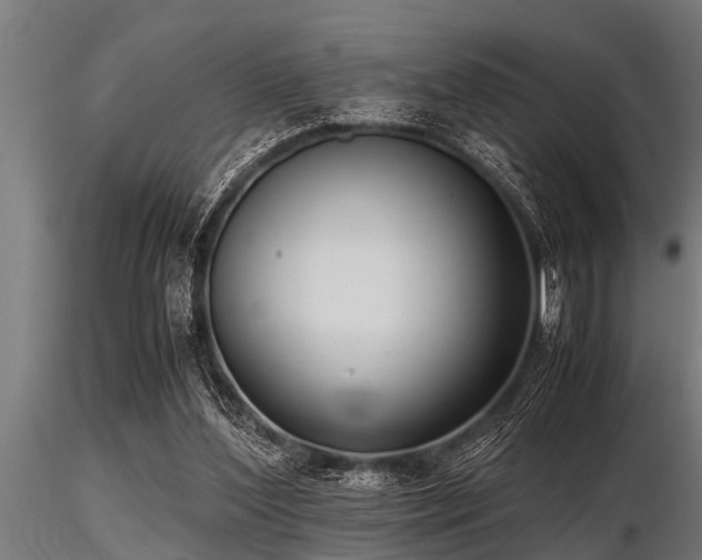 X0000116580204200912101548