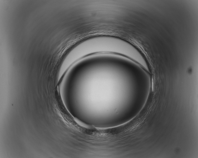 X0000116580205200912101548