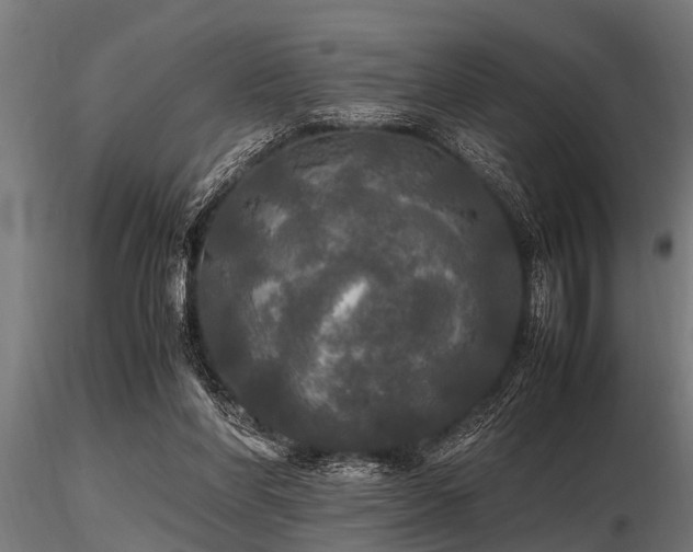 X0000116580206200912101548