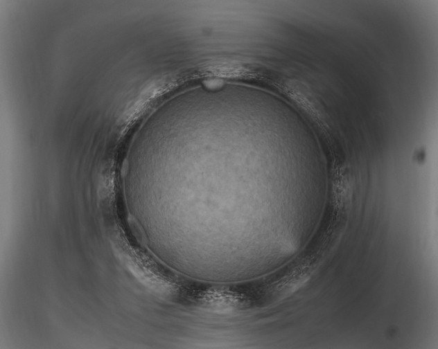 X0000116580207200912101548