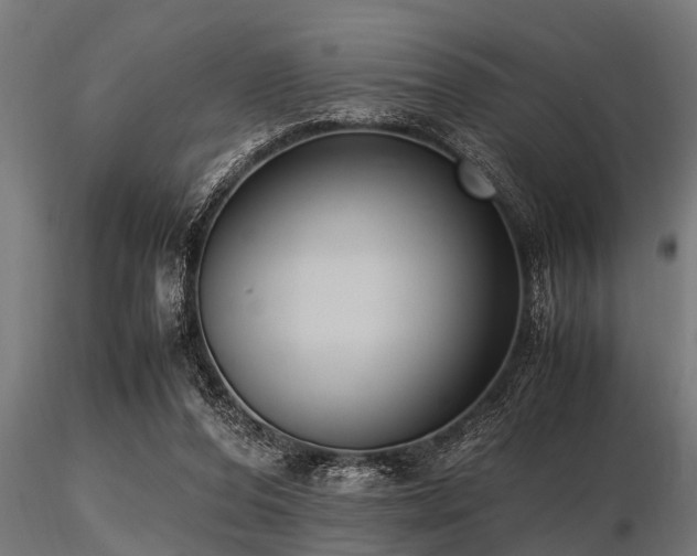 X0000116580208200912101548