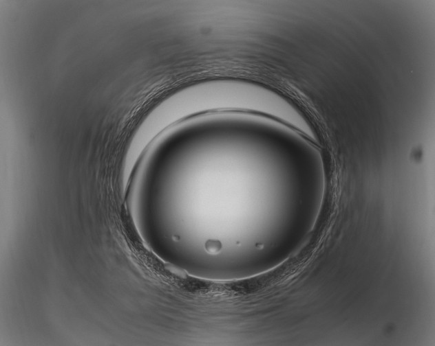 X0000116580209200912101548