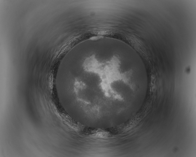 X0000116580210200912101547