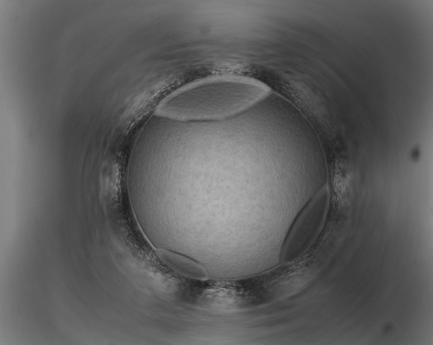 X0000116580211200912101547