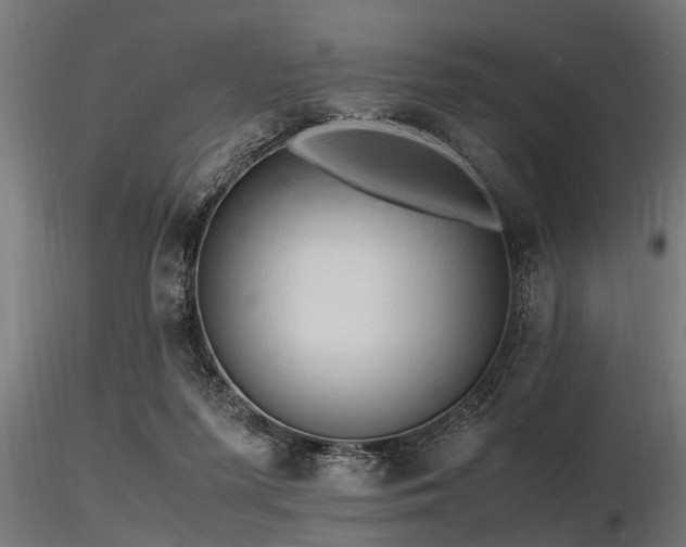 X0000116580215200912101547