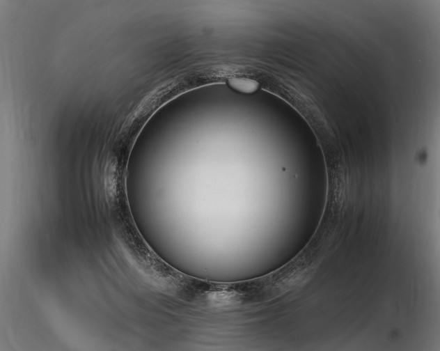 X0000116580216200912101547