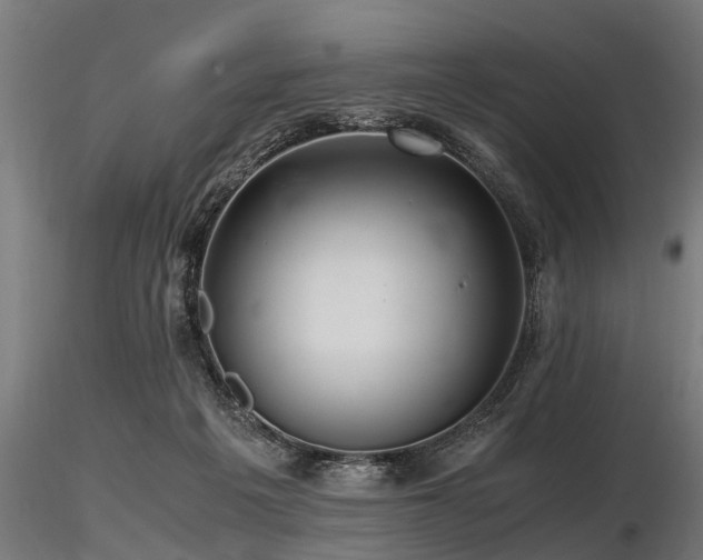 X0000116580217200912101547