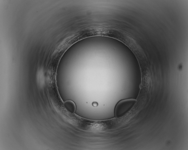 X0000116580218200912101547