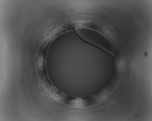 X0000116580219200912101547