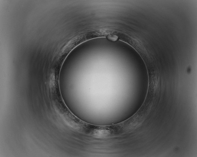 X0000116580220200912101547