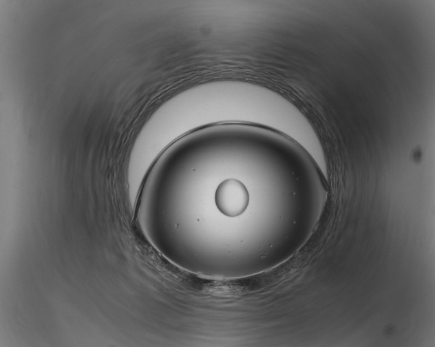 X0000116580221200912101547