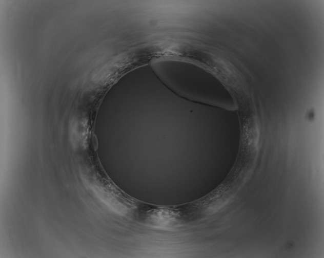 X0000116580223200912101547