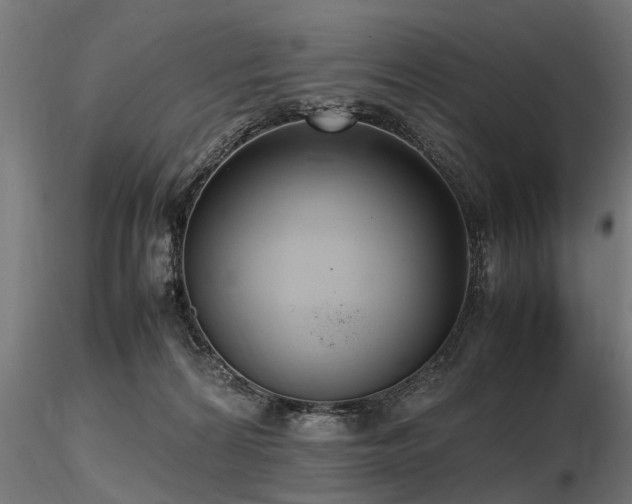 X0000116580224200912101547